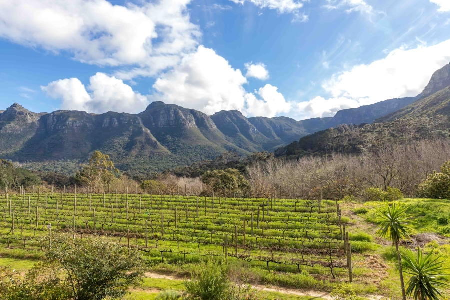 2 Bedroom Property for Sale in Silvermist Mountain Lodge Western Cape